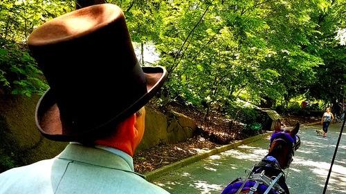 Central Park Carriages in New York