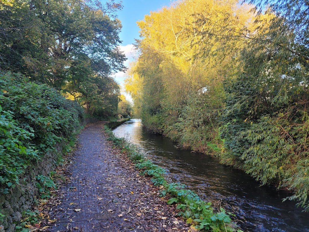 Herbert Park in Dublin