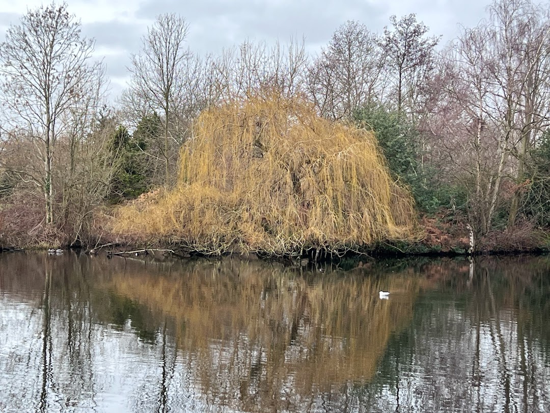 Wandsworth Common in London