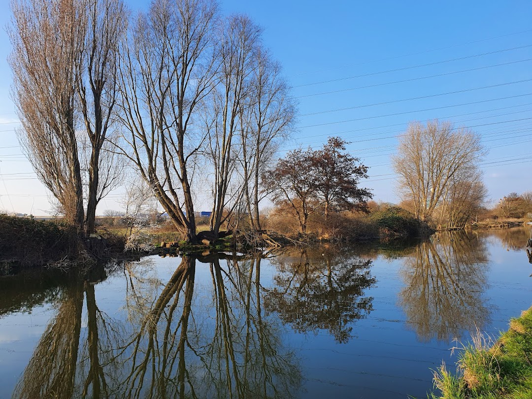 Tottenham Marshes in London