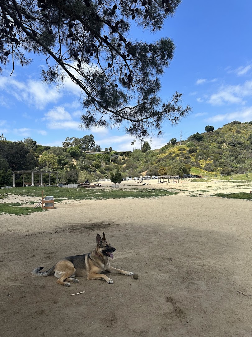 Laurel Canyon Dog Park in Los Angeles