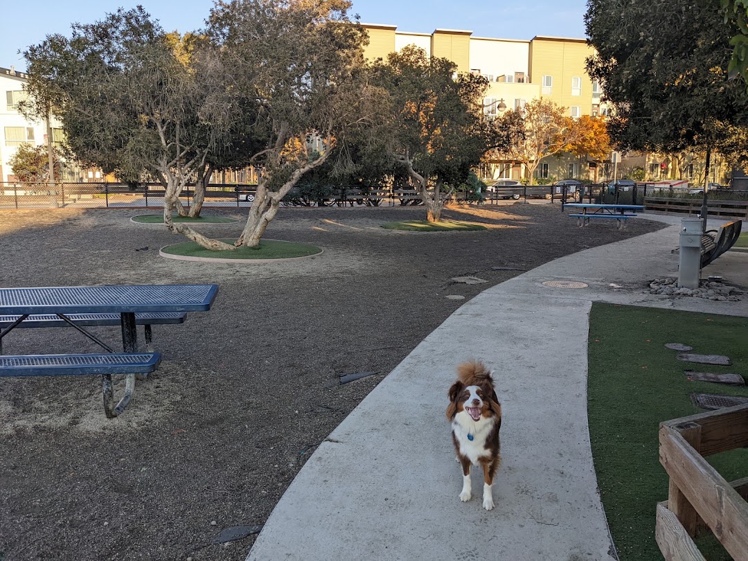 Mission Creek Dog Park in San Francisco