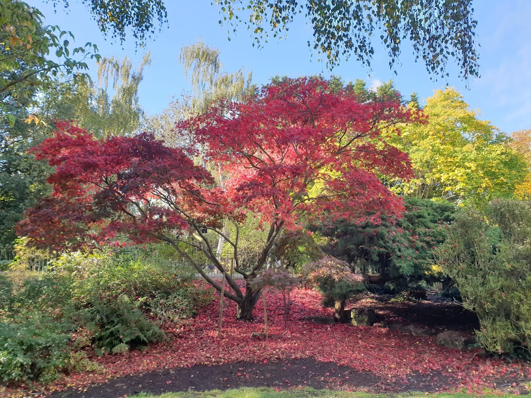 Peckham Rye Park & Common in London