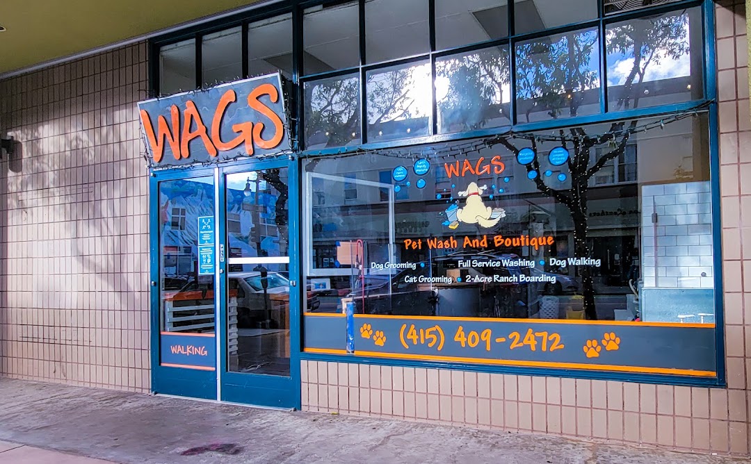 WAGS in San Francisco