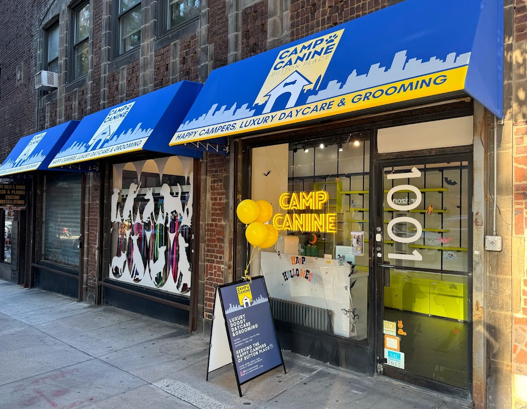 Camp Canine Sutton Place in New York
