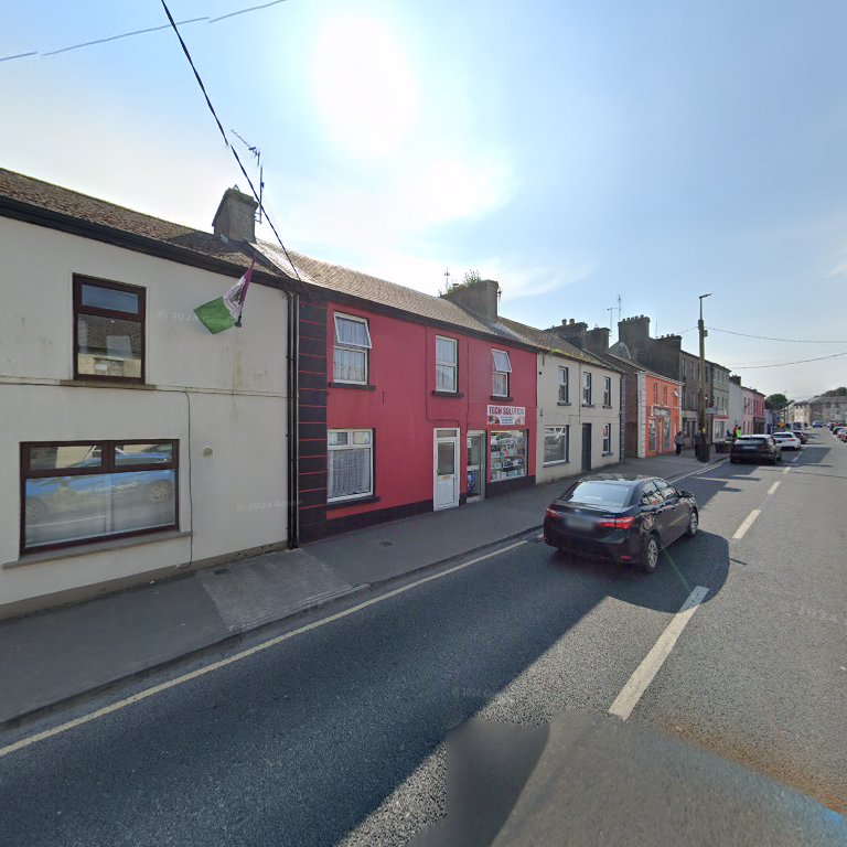 Roscommon National CAT ADOPTION in Ireland