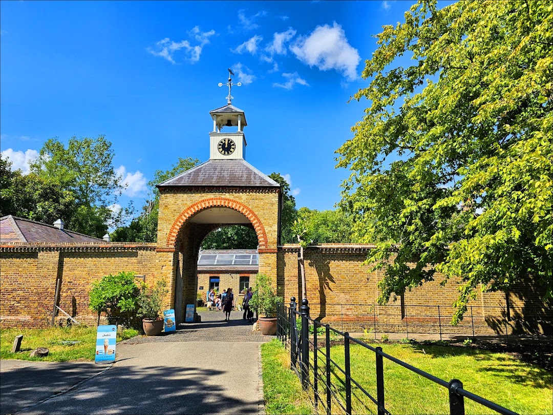 National Trust - Morden Hall Park in United Kingdom