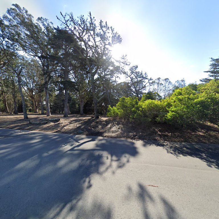 GGP Dog Play Area 3 in San Francisco