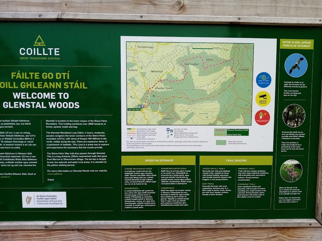 Glenstal Woods