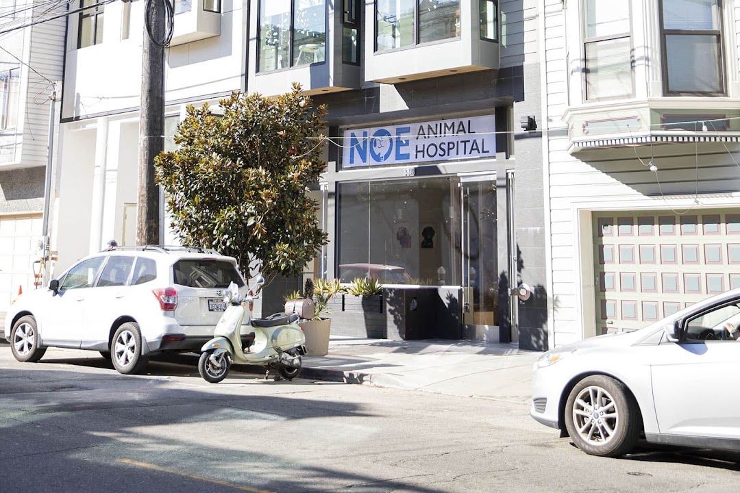 Noe Animal Hospital in San Francisco