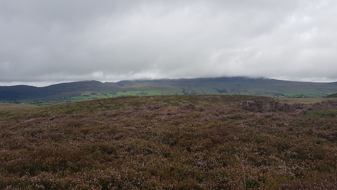 Annaloughan Loop Walk in Ireland