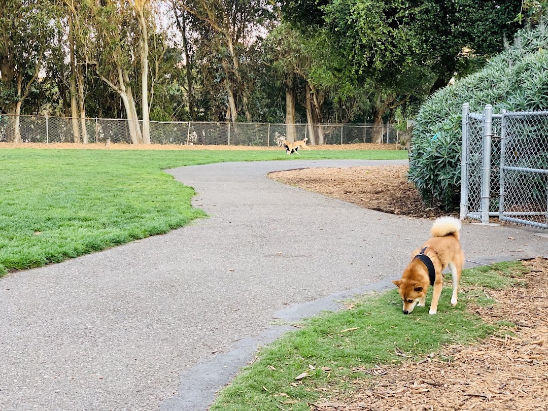 St. Mary's Dog Park in San Francisco