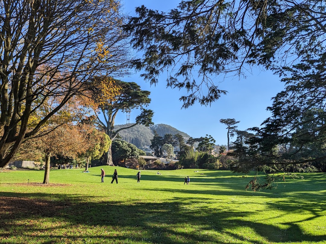 Great Meadow in San Francisco