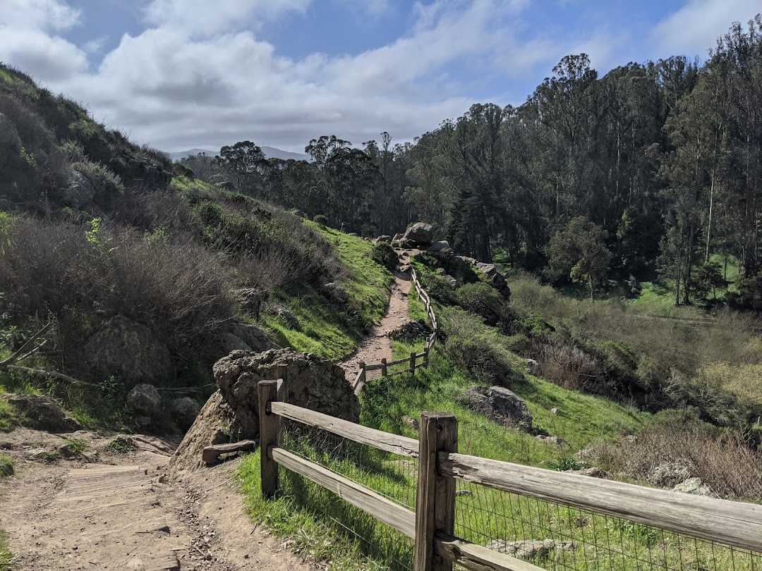 Glen Canyon Park in San Francisco