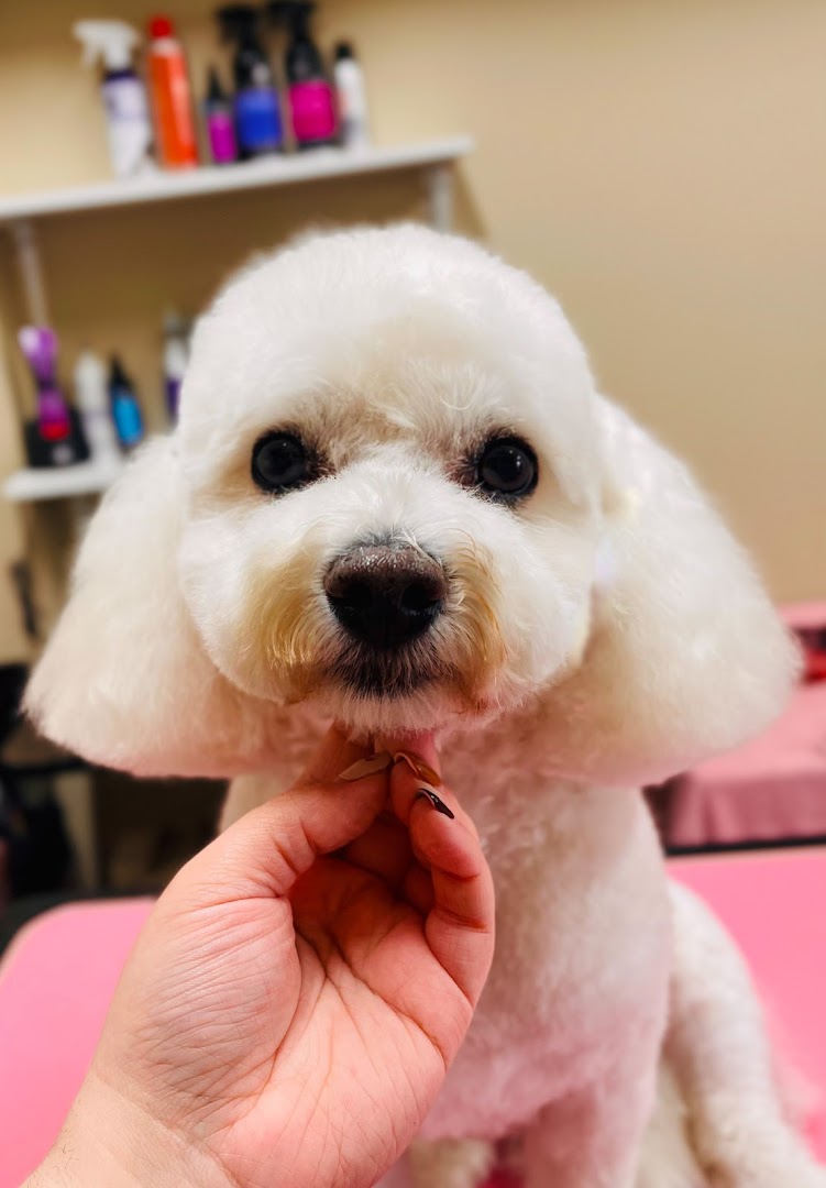 Dowth Avenue Dog Grooming Parlour