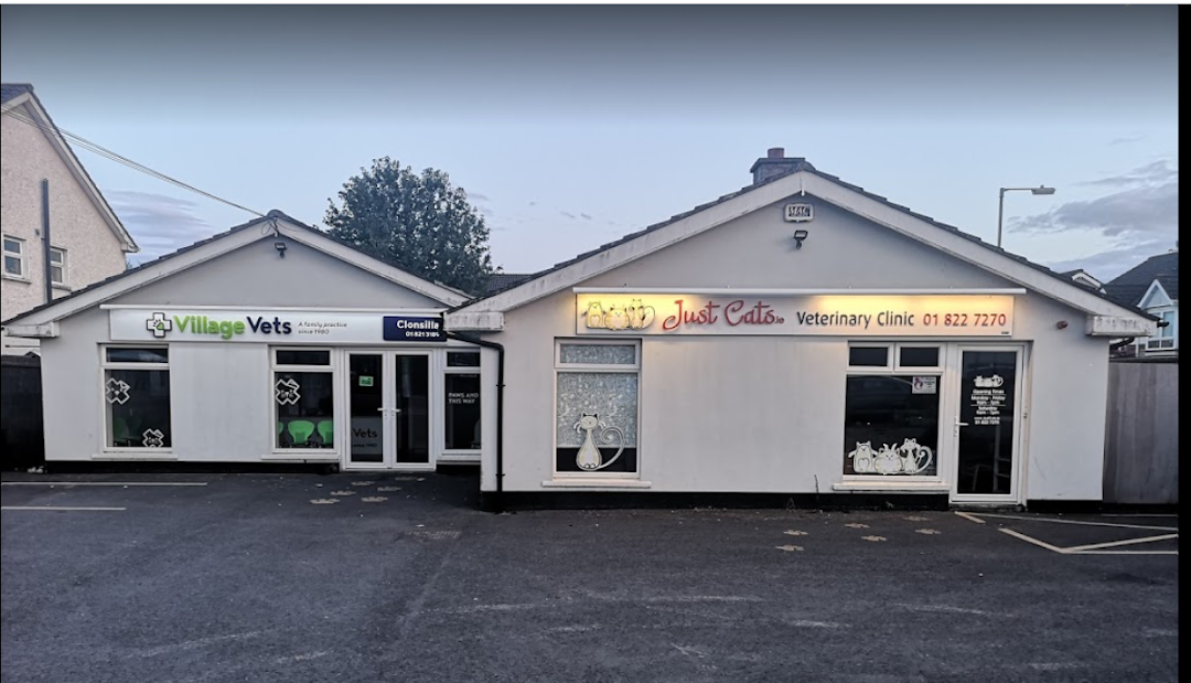 Just Cats @ Village Vets Clonsilla in Dublin