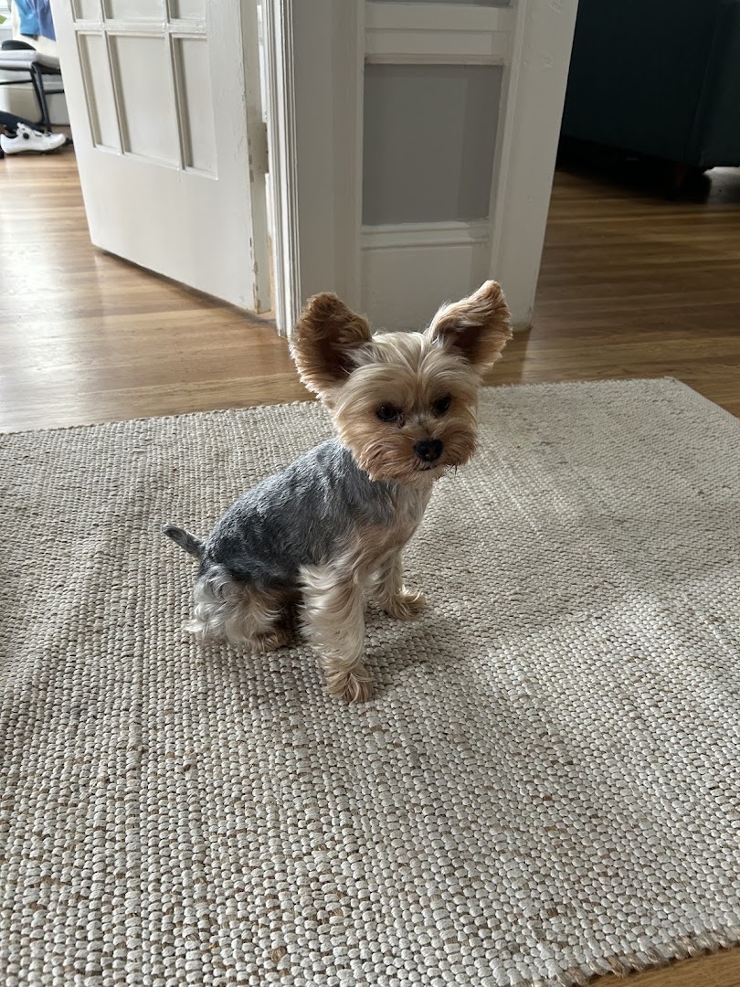 BMK Pet Salon in San Francisco