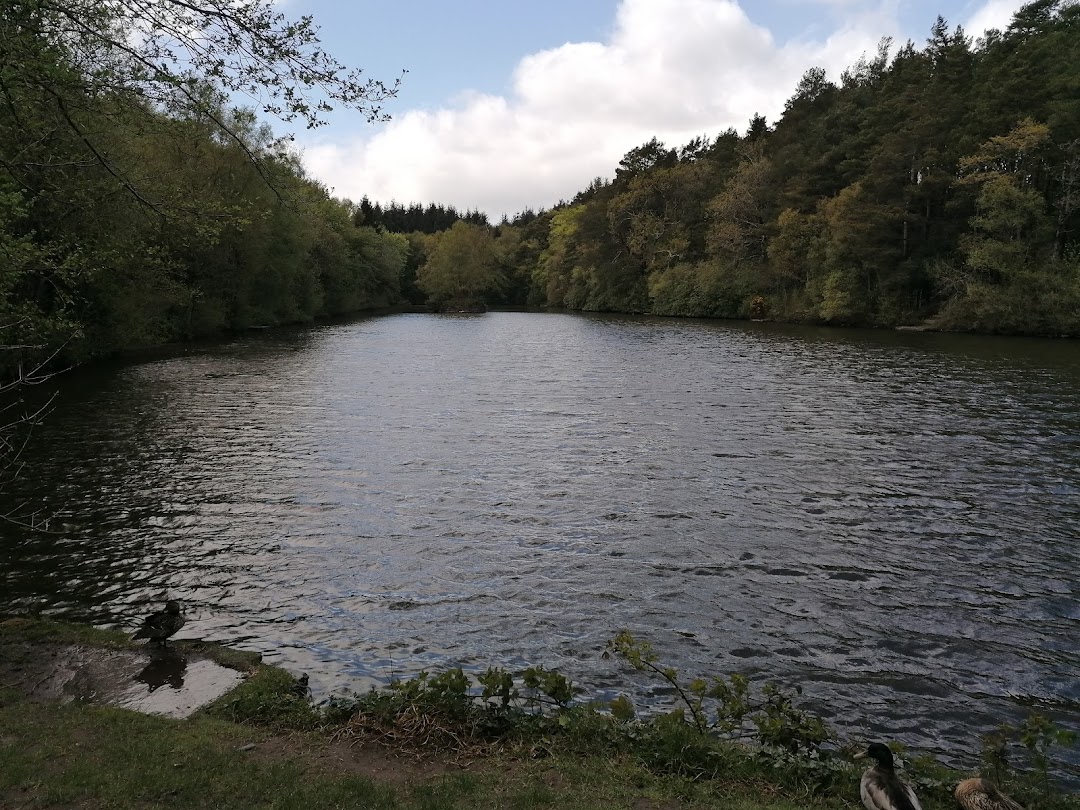 Brittas Forest Recreation Area