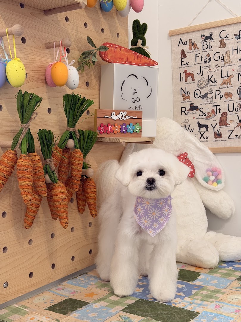 Mr. FUFU Grooming Lounge