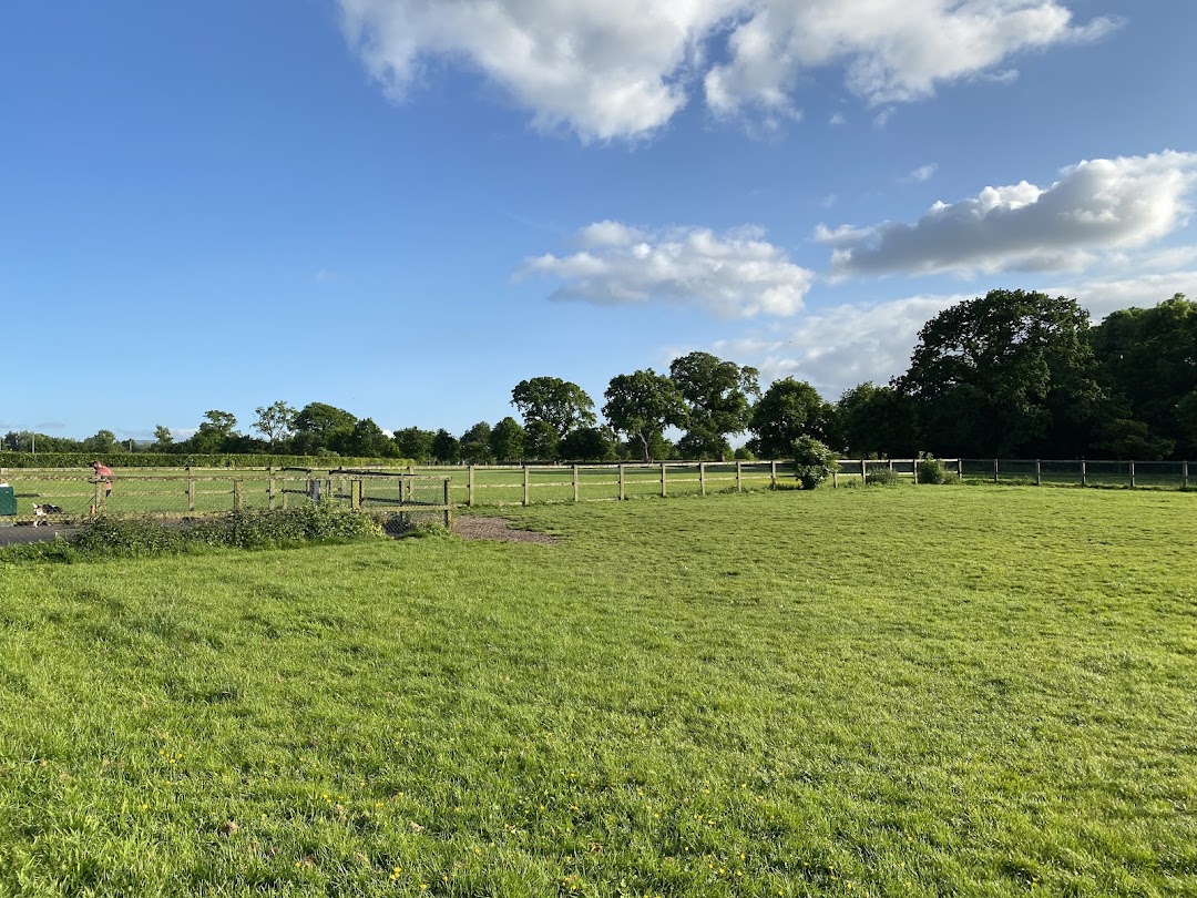 Corkagh Park Dog Run in Dublin
