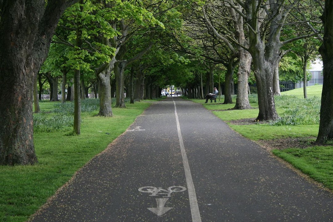Fairview Park in Dublin