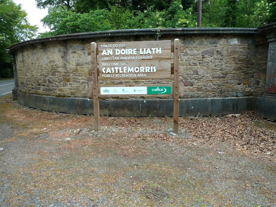 Castlemorris Woods in Ireland