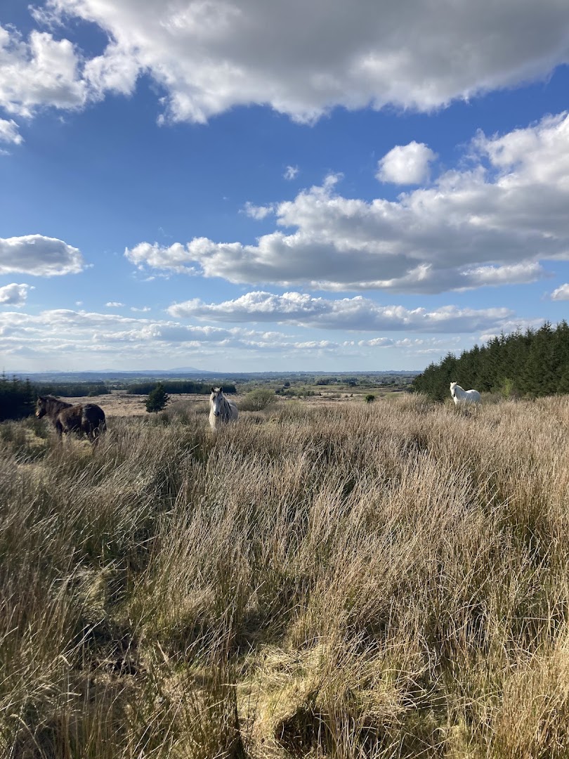 Cloonfad Scenic Walks Resource Centre in Ireland