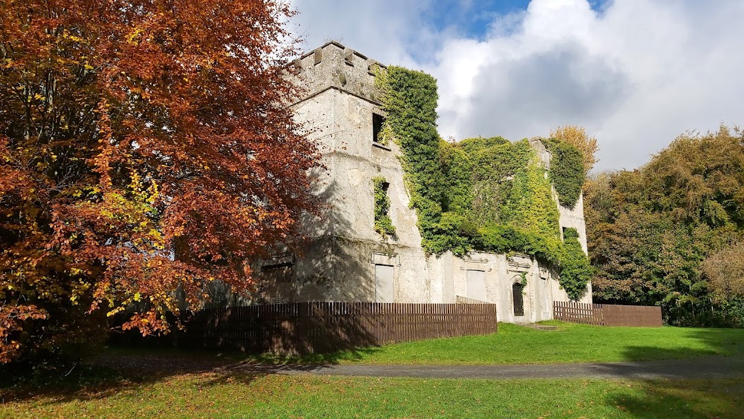 Donadea Forest Park in Ireland