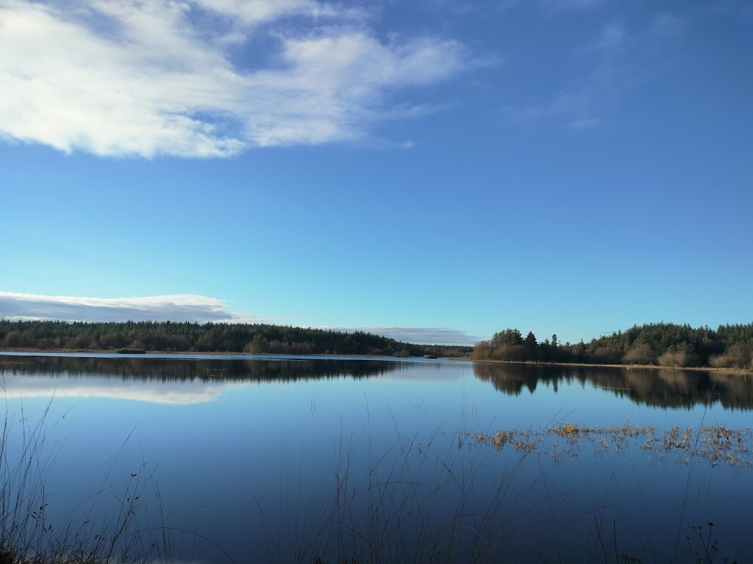Derryounce Lakes and Walkways