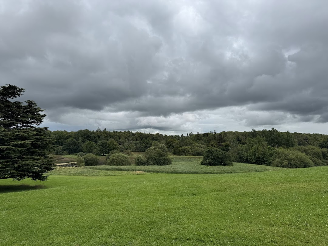 Curraghchase Forest Park Coillte in Ireland
