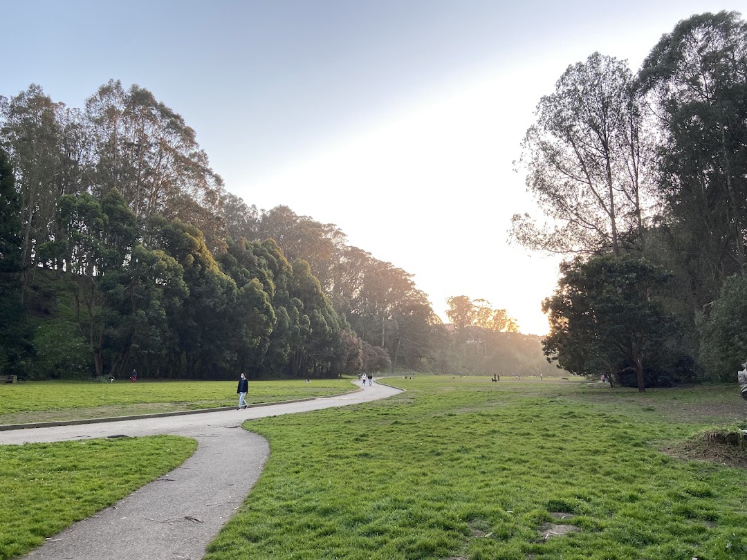 Dog Park | Pine Lake Park in San Francisco