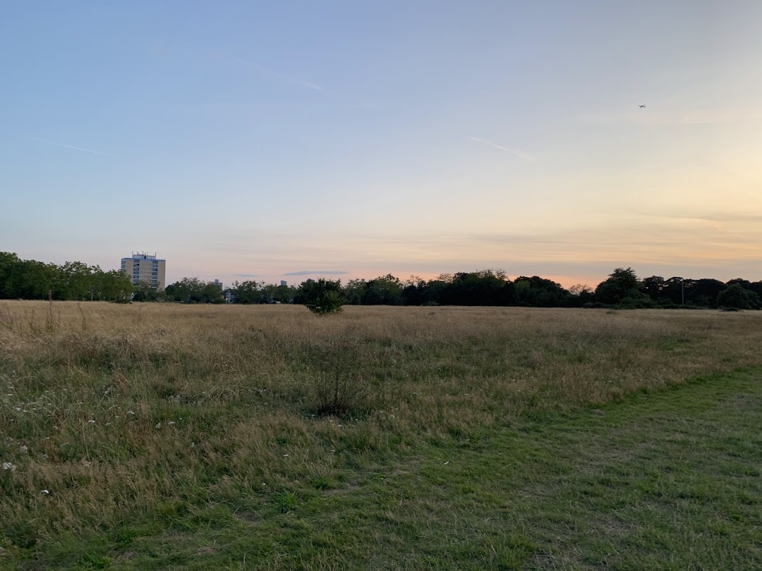 Wanstead Flats in London