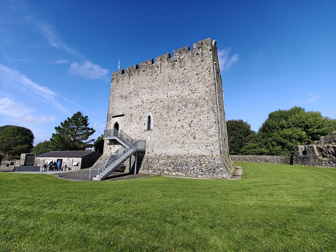 Athenry Castle in Galway