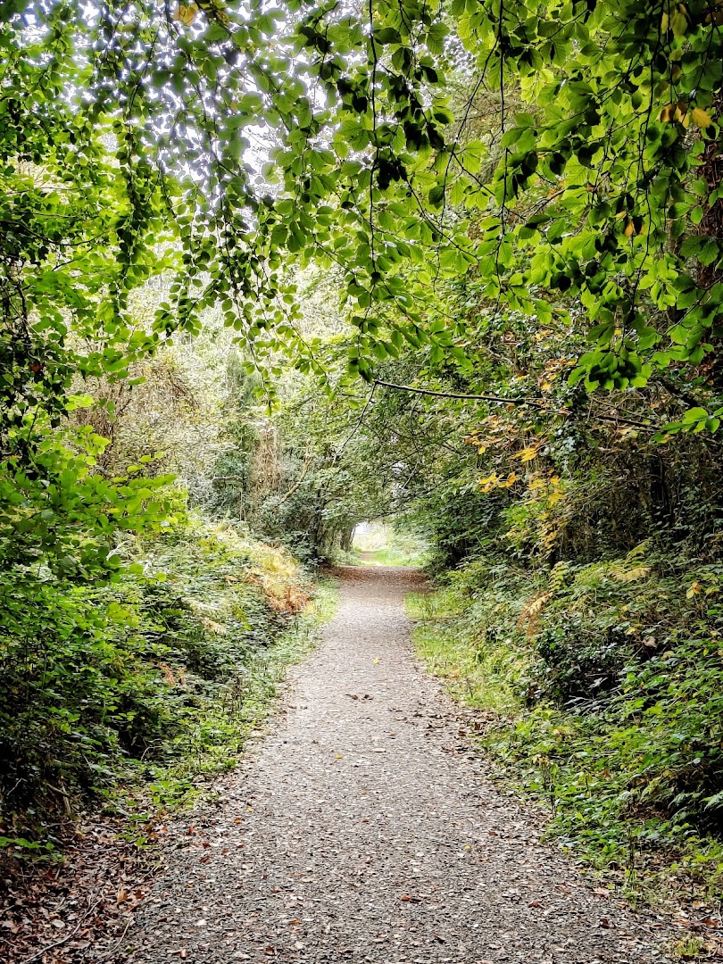 Ramsfort woods