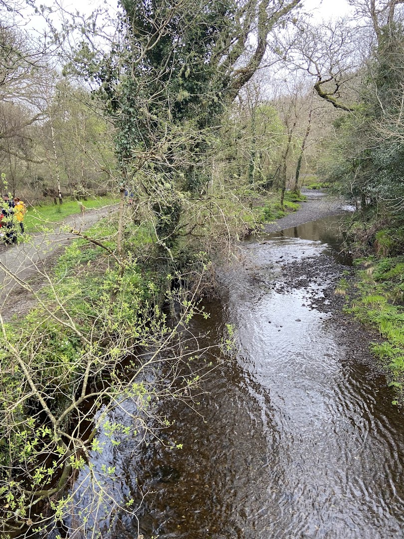 Glengarriff Woods Nature Reserve (Car Park) in Cork