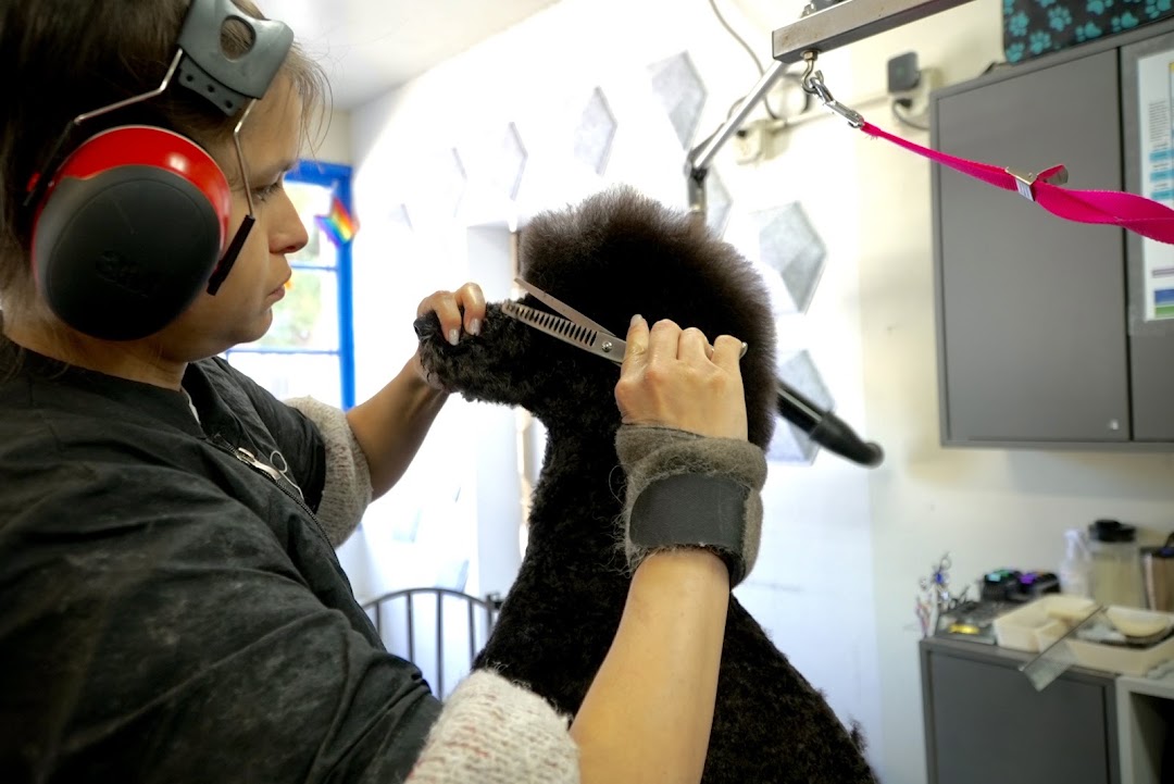 VIP Grooming in San Francisco