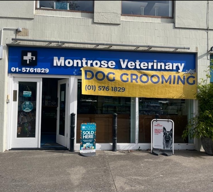 Montrose Veterinary Clinic in Dublin