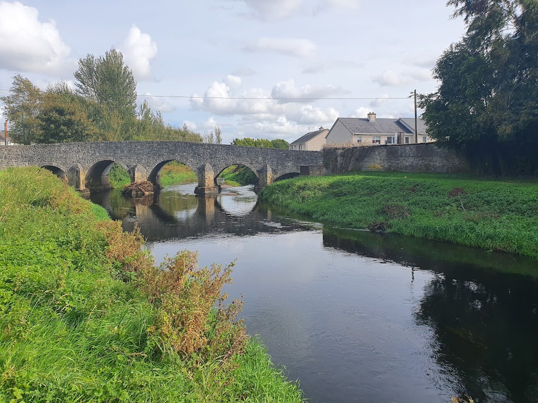River Barrow Walk
