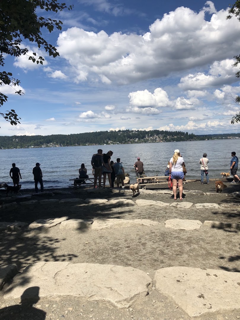 Warren G. Magnuson Park Off Leash Area in Seattle