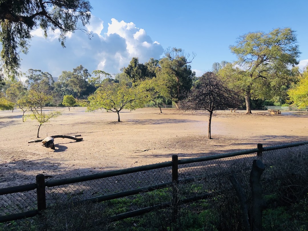 Nate's Point Dog Park in San Diego