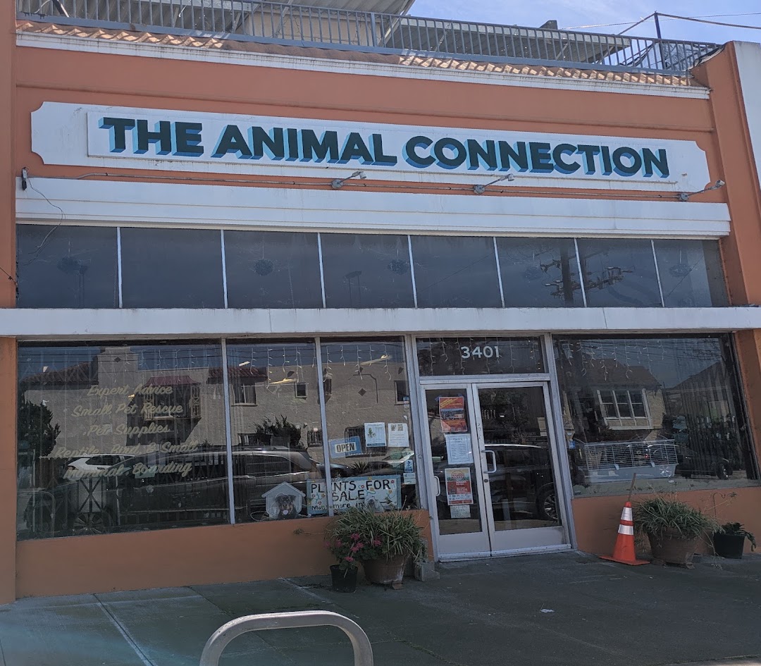 The Animal Connection in San Francisco