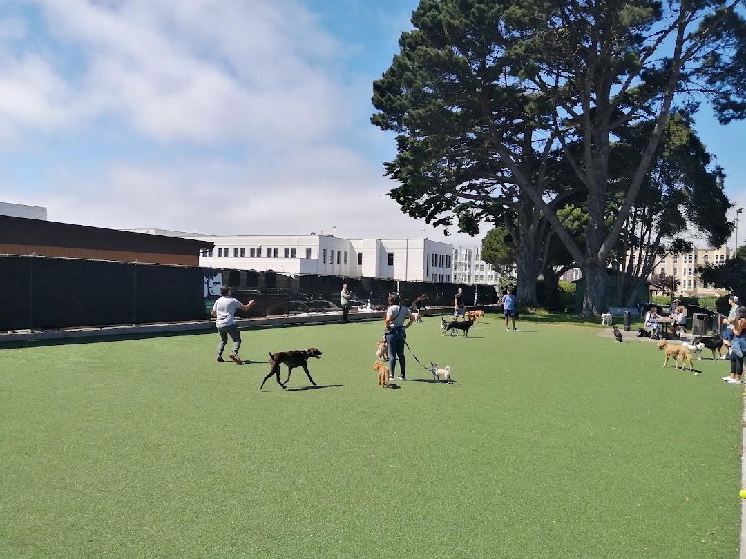 Dog Park | Moscone Park in San Francisco