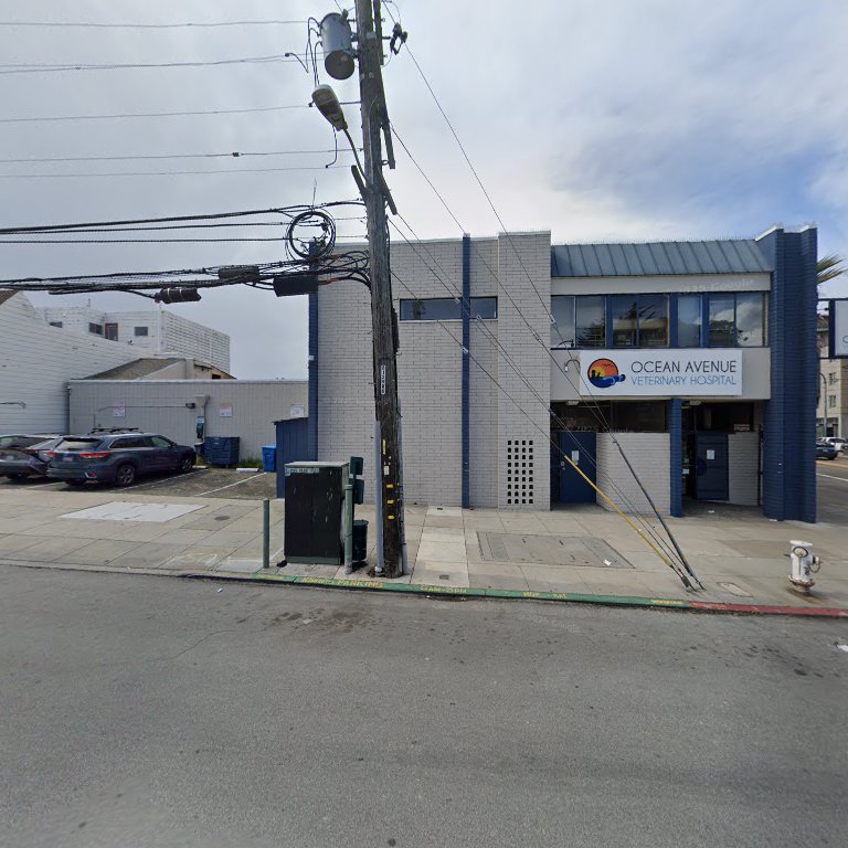 Ocean Ave Veterinary Hospital: Mcelroy Jack M DVM in San Francisco