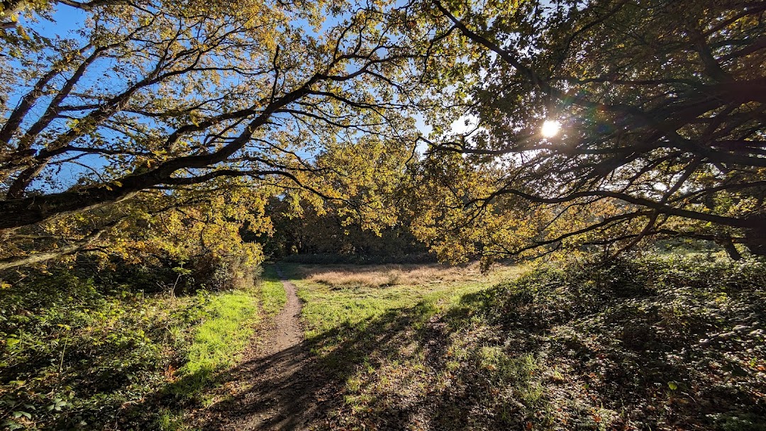 Barnes Common in London
