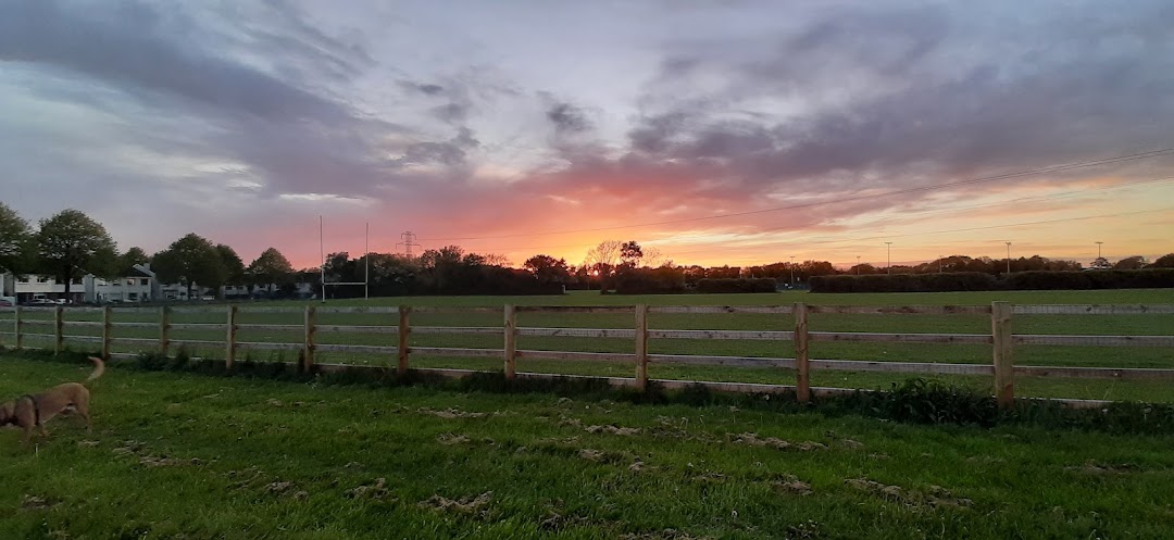 Hartstown Dog Park in Dublin