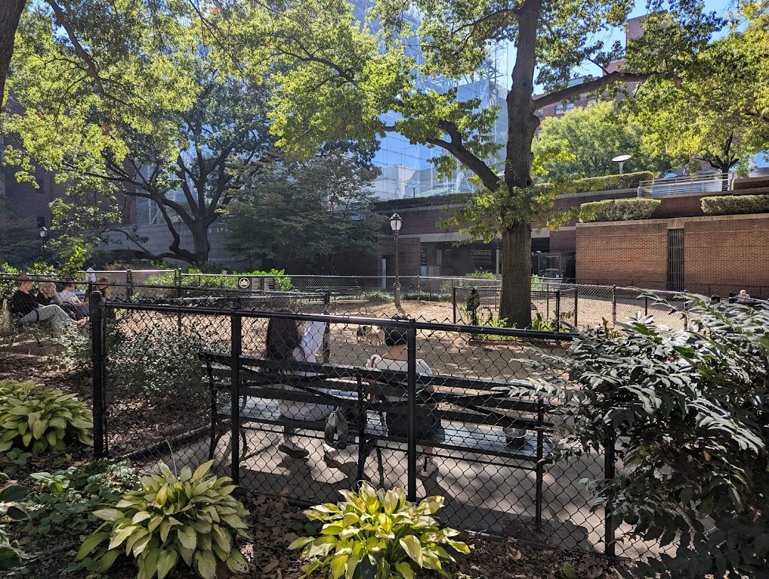 Bull Moose Dog Run in New York