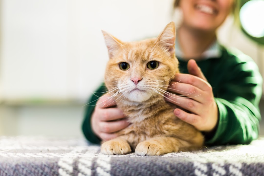 Shenick Veterinary Centre in Dublin