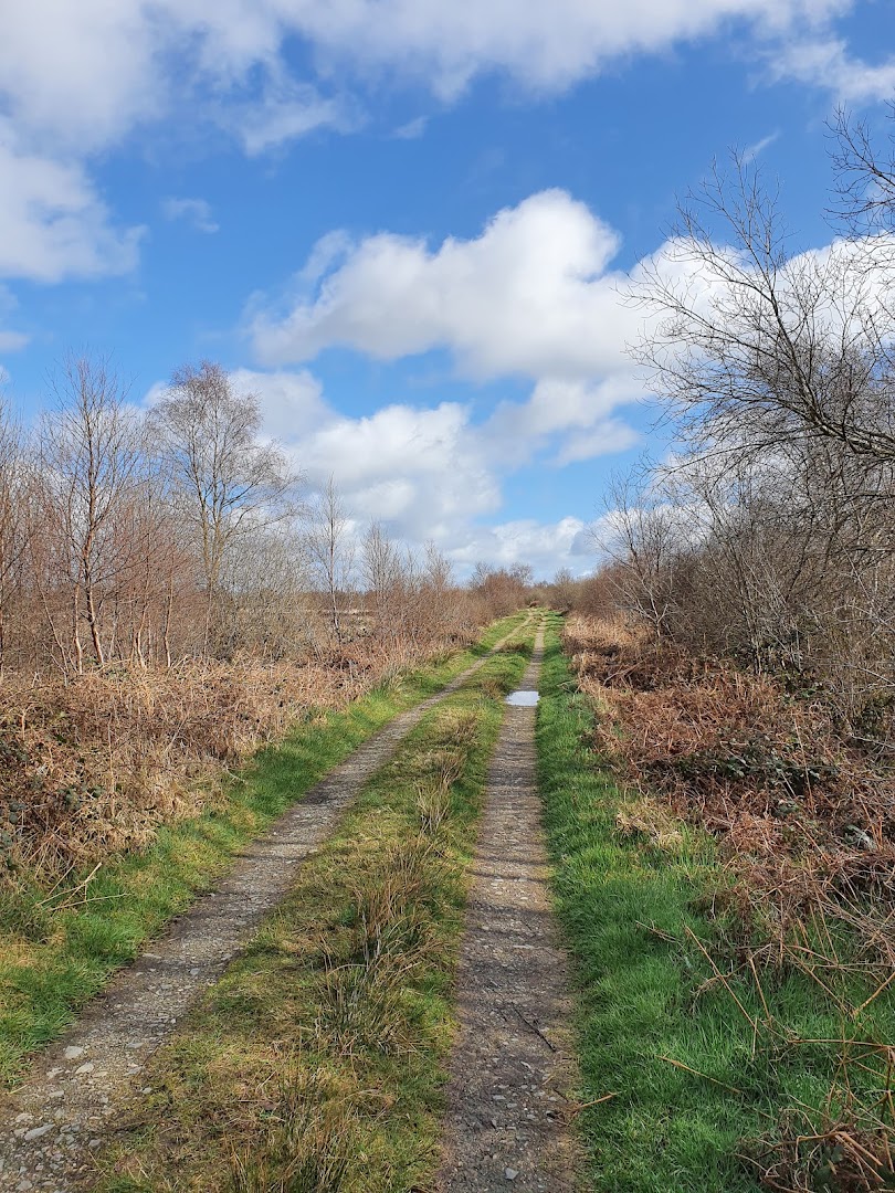 Edenmore Bog Walk in Ireland