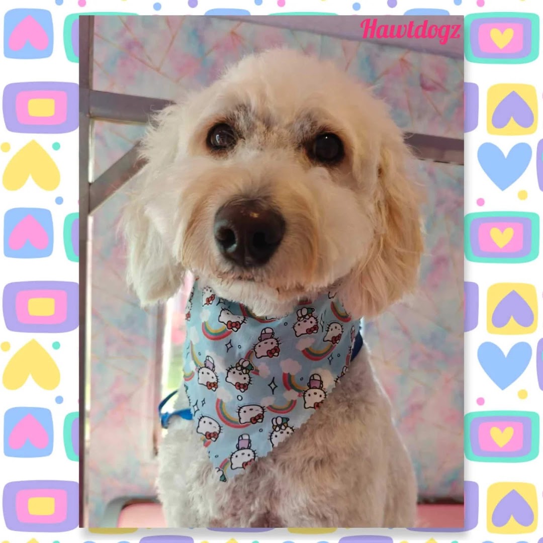 Hawt Dogz Dog Grooming in Dublin