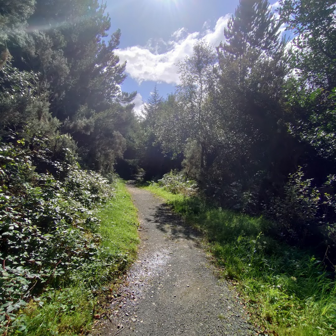 Ballykeeran Woods